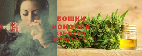 spice Бородино