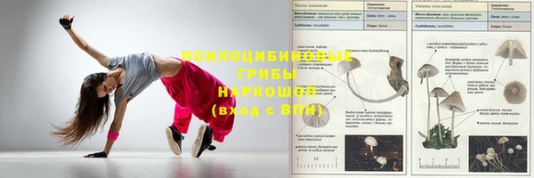 spice Бородино