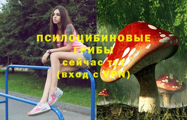 мет Бронницы