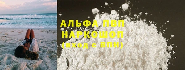 spice Бородино