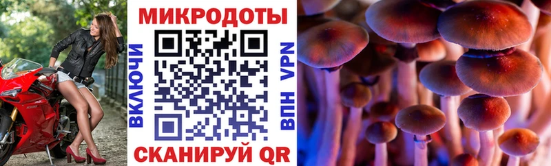 Галлюциногенные грибы GOLDEN TEACHER  гидра ссылки  Шацк 