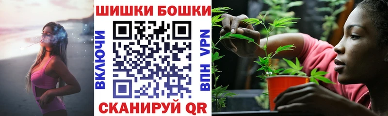 магазин продажи наркотиков  Шацк  Конопля VHQ 